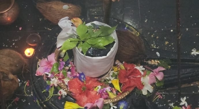 WhatsApp Image 2025-08-03 at 2.30.27 PM