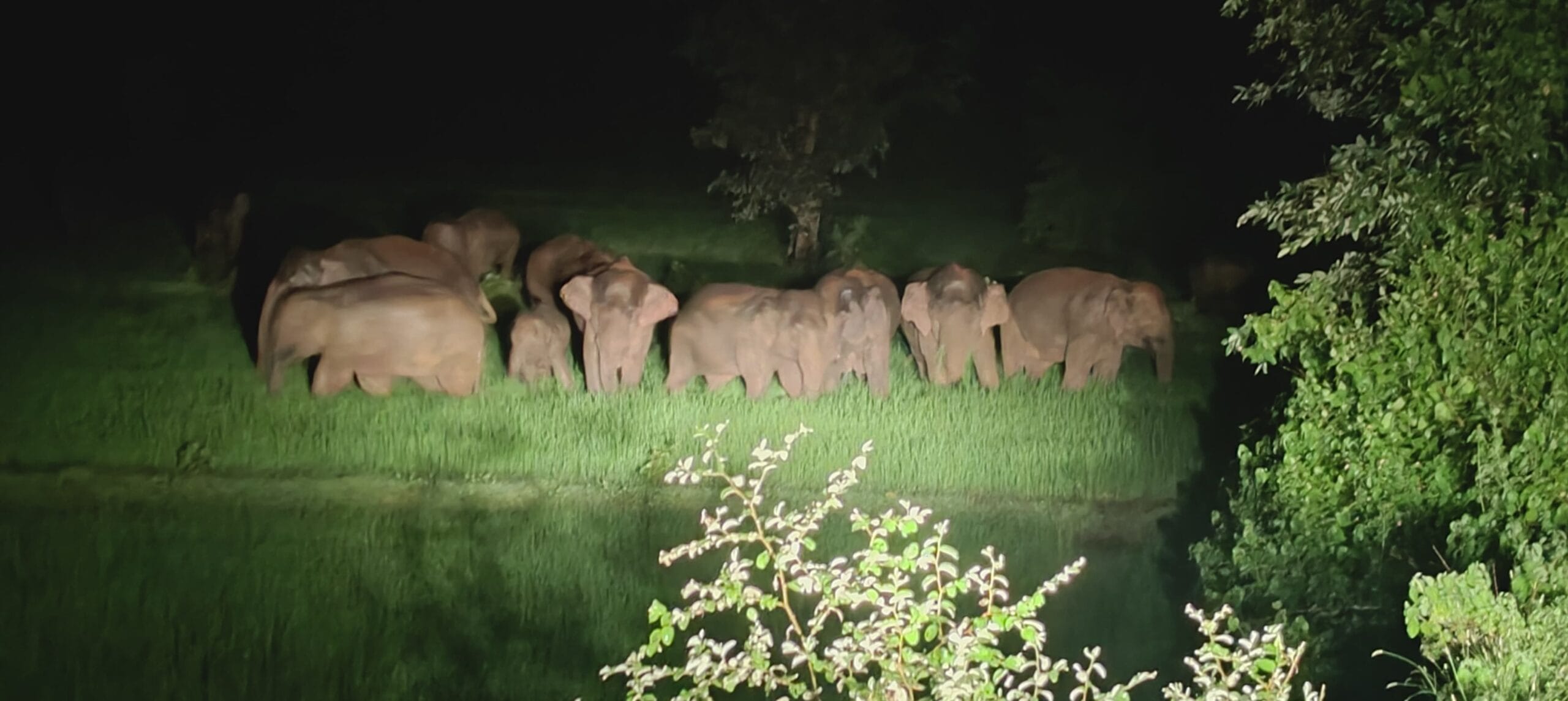 WhatsApp Image 2025-08-10 at 5.59.37 PM (1)