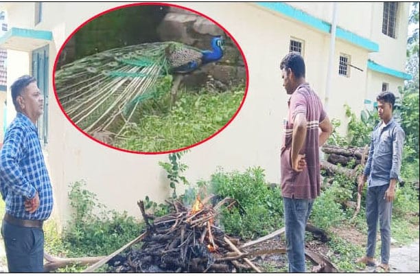 WhatsApp Image 2025-08-12 at 7.29.09 PM