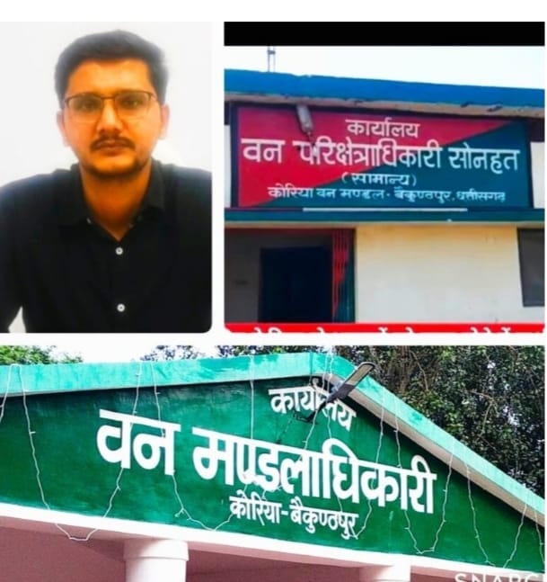 WhatsApp Image 2025-08-31 at 12.47.21 PM