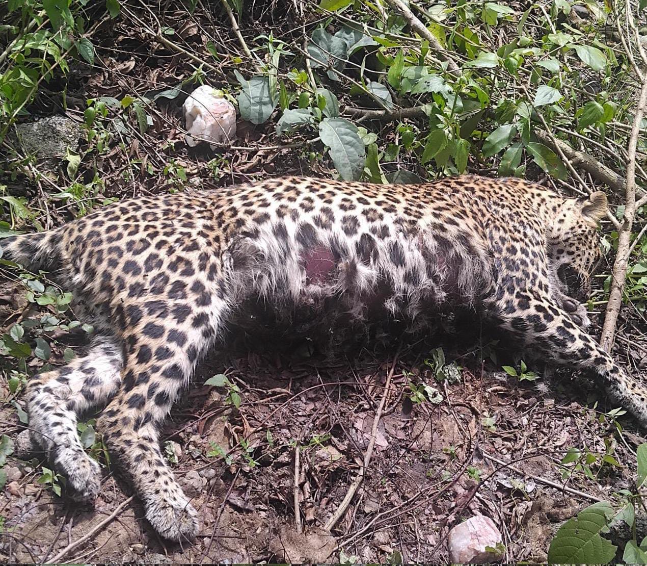 b1ff5a5f-9cf3-42ad-989f-e66e404dc1c1