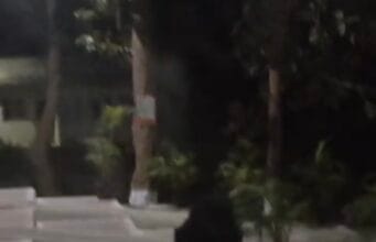 कोरबा के सतरेंगा रिसोर्ट में दो जंगली भालुओं की अचानक मौजूदगी से पर्यटकों और कर्मचारियों में मचा हड़कंप