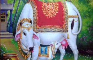 निराश्रित एवं घुमंतु गौवंश के संरक्षण हेतु गोधाम योजना: इच्छुक संस्थाओं से 30 सितम्बर तक आवेदन आमंत्रित