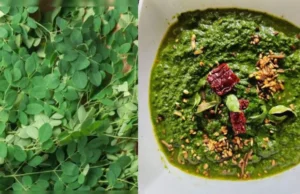 Moringa Leaf Chutney Recipe: हेल्दी और टेस्टी सहजन पत्तियों की चटनी, जो स्वाद के साथ सेहत भी बढ़ाए