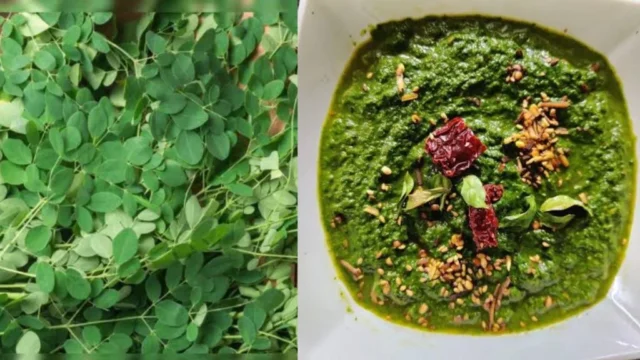 BeFunky-design-41-1024x576