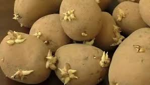 download - 2025-09-06T115651.618