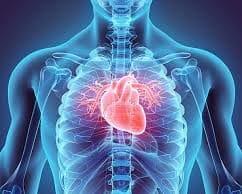 खाने के बाद लेटने या बैठे रहने की आदत छोड़ें, वरना बढ़ सकता है दिल का खतरा