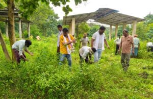 विश्व हिंदू परिषद जिलाध्यक्ष व समाजसेवी हर्ष छाबरिया ने 10 एकड़ के विशाल मुक्तिधाम को साफ कराया