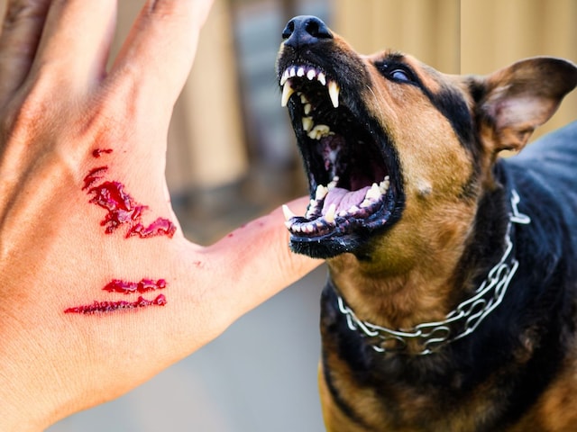 00660a8c-87f5-481c-95e6-dd920864f2d4