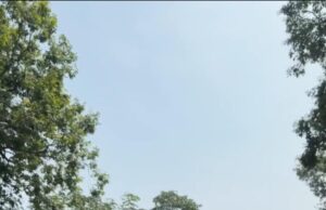 यहां सियासी खाई पाटने की जरूरत है नेताजी!