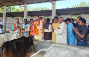 गोवर्धन पूजा हमारी संस्कृति का आधार, गोवंश संरक्षण से ही सशक्त होगा ग्रामीण भारत…… स्वास्थ मंत्री