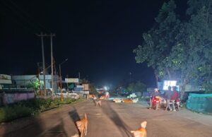 भोपालपटनम में पागल कुत्ते का कहर; 30 से अधिक लोगों को किया घायल, क्षेत्र में दहशत