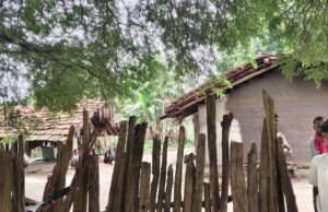 मुखबिरी के शक में नक्सलियों ने ली ग्रामिण की जान