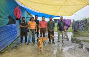 आवारा कुत्तों को मिलेगा शरण स्थल, होगी नसबंदी भी