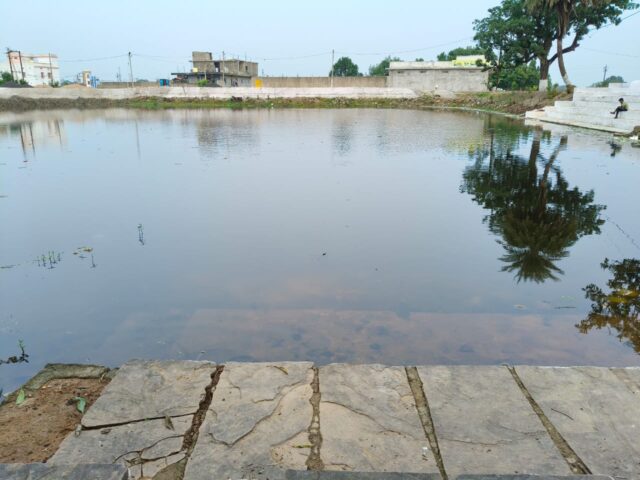 WhatsApp Image 2025-10-11 at 4.05.51 PM (2)