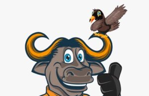 बस्तर जिले के हर गांव में दिखेगा बस्तर ओलंपिक 2025 का जलवा, सभी गांवों में होगा खेल उत्सव