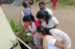 साय सरकार में बस्तर के युवाओं के लिए खुले सरकारी नौकरियों के द्वार