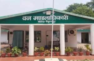 वन विभाग की लापरवाही से जंगल सुरक्षित नहीं, शिकायत के बावजूद नहीं लगा अंकुश, ग्रामीणों ने अतिक्रमण पर रोक लगाने की रखी थी मांग