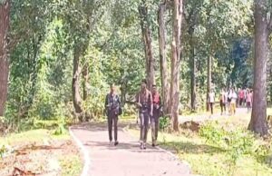 सक्रिय 21 नक्सलियों ने किया आत्मममर्पण, डिवीजन कमेटी सेक्रेटरी मुकेश के साथ 4 वीडीसीएम, 9 एसीएम और 8 पार्टी सदस्य शामिल