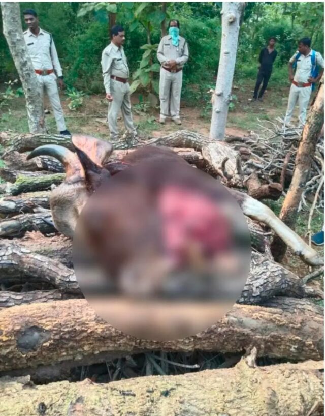 WhatsApp Image 2025-10-27 at 5.36.19 PM