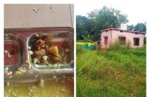 ‘कलेक्टर भी मेरा कुछ नहीं बिगाड़ सकता’