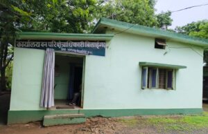 बिलाईगढ में हाथी पर वन विभाग की मॉनिटरिंग फेल :