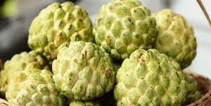 सीताफल खाने के अनोखे फायदे: पाचन से लेकर त्वचा की चमक तक, हर समस्या का नेचुरल इलाज है ये फल