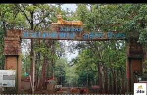 अचानकमार टाइगर रिजर्व में वन विभाग ने बढ़ाई पर्यटकों के लिए सुविधाएँ ; 3500 रुपए में जिप्सी सफारी और 24 मॉडर्न रूम्स की व्यवस्था