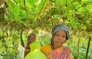 बुटकी की जीवटता और सरकार की पहल ने हरा दिया गरीबी को