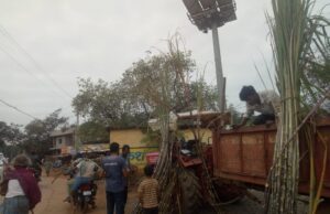 सुशासन में सनातन का शोर चहुंओर