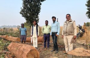 ग्राम जोलगी में बिना अनुमति कटे साल वृक्ष जब्त