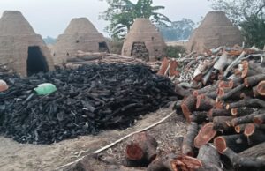 अवैध रूप से संचालित हो रहा लकड़ी से कोयला बनाने भट्ठे भट्टे से निकलने वाले धुएं की चपेट में क्षेत्रवासी।