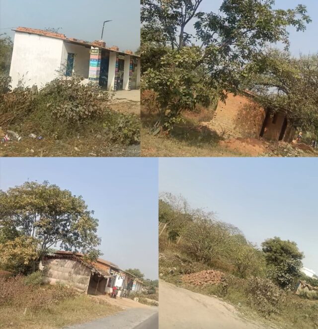 WhatsApp Image 2025-11-28 at 8.42.30 AM