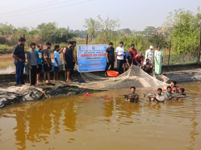 WhatsApp Image 2025-11-29 at 6.40.20 PM (1)