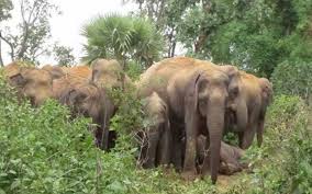 download - 2025-11-29T104437.286