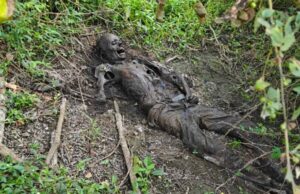 झाड़ियों में मिला मानव कंकाल, क्षेत्र में सनसनी; पुलिस ने शुरू की शिनाख्त की प्रक्रिया