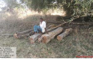 रतनपुर वन मंडल में बीजा लकड़ी तस्करी का पर्दाफाश ; जयराम मरावी के आंगन से 8 गोले जब्त ; आरोपी गोपाल श्रीवास गिरफ्तार