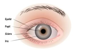 मोबाइल–लैपटॉप की रोशनी से बच्चों की आंखों पर बढ़ता खतरा