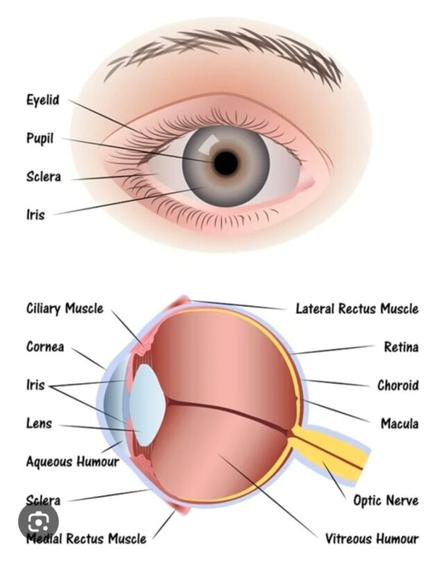 WhatsApp Image 2025-12-16 at 10.30.05 AM