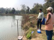 सुकमा के मछली पालक बने जिले की सशक्त पहचान