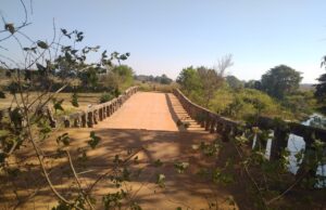 पोटियावंड–मोतीगांव मार्ग का पुल ढहा, मुश्किलों में फंसे ग्रामीण