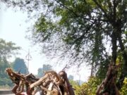 दृष्टिहीन विधवा पर हुई प्रशासन की कृपा दृष्टि