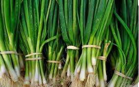 download - 2025-12-29T151933.355