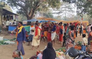 पल्लीभाटा के माघ मड़ई मेले में उमड़ी भारी भीड़