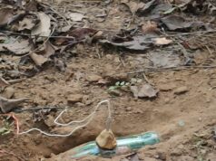 भोपालपटनम्–मद्देड़ क्षेत्र में सुरक्षा बलों की बड़ी कार्रवाई, IED व माओवादी डंप बरामद