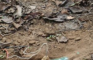 भोपालपटनम्–मद्देड़ क्षेत्र में सुरक्षा बलों की बड़ी कार्रवाई, IED व माओवादी डंप बरामद