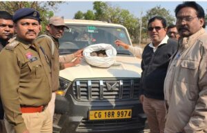 एमसीपी चेकिंग के दौरान दुर्लभ वन्य प्राणी पेंगोलिन की बरामदगी, स्कॉर्पियो वाहन जब्त