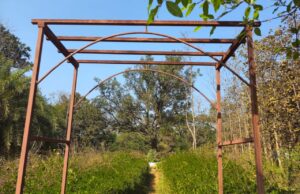 लोकार्पण से पहले ही उजाड़ हो गया नेचर पार्क