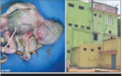 WhatsApp Image 2026-01-05 at 3.36.23 PM