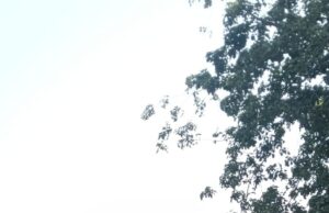 ग्राम पडरी की प्राथमिक शाला में 26 जनवरी पर भव्य कार्यक्रम, बच्चों ने दिखाई प्रतिभा